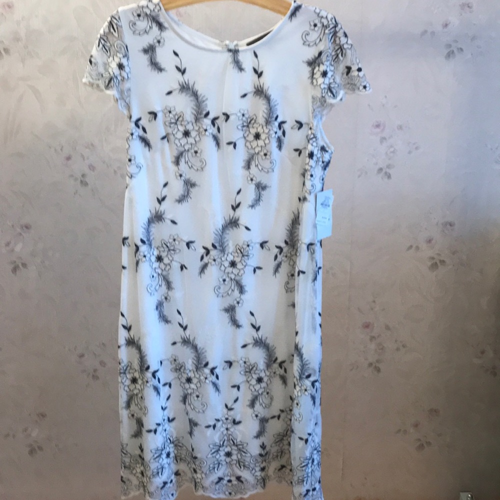 NWT Donna Ricco white/black lace dress size 14